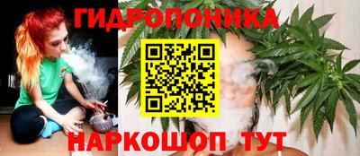 мдпв Новокубанск