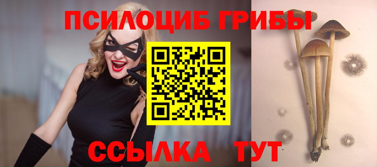 Псилоцибиновые грибы прущие грибы Моршанск