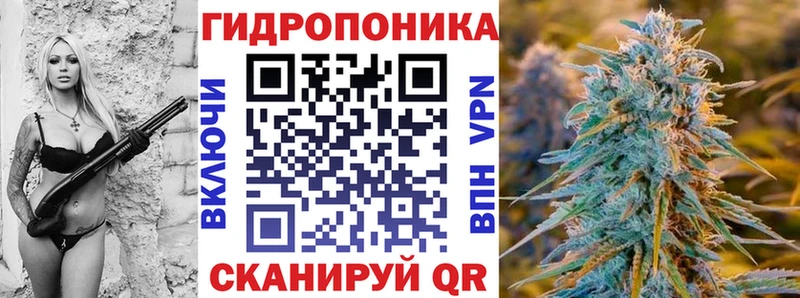 купить наркоту  Моршанск  omg рабочий сайт  Бошки Шишки план 
