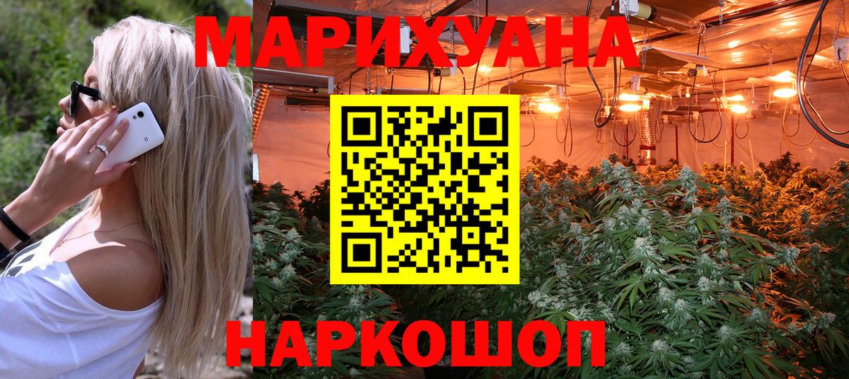 Каннабис планчик Моршанск